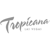 Logo 4